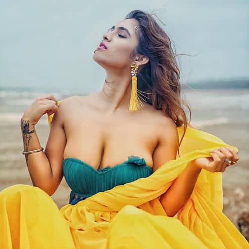Amritsar escorts service